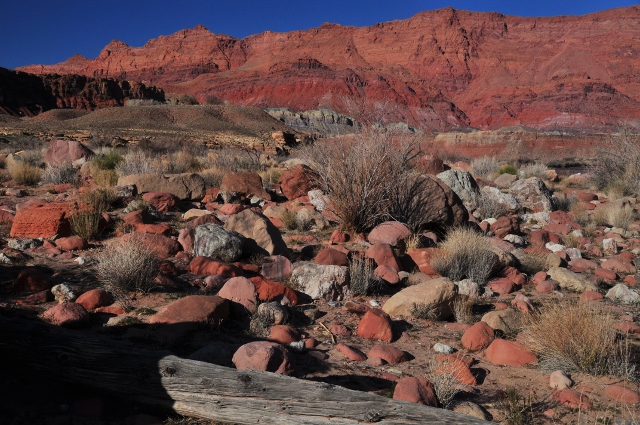 Colorado River at Paria Riffle